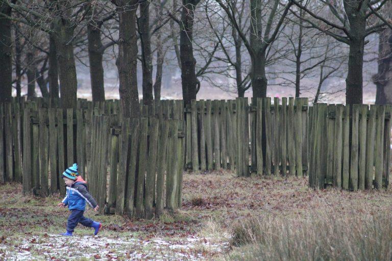 Remembering The Legends A Look Back At The Most Influential Boxers Of All Time