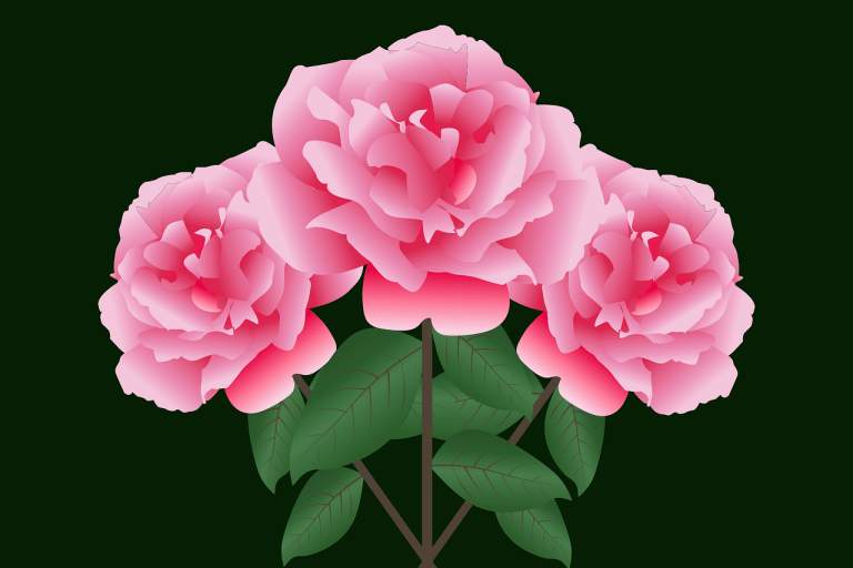 The Evolution Of Boxing How It Has Changed Over The Decades