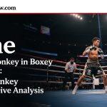 Cartoon monkey punching in a boxing ring to illustrate the punch monkey meme